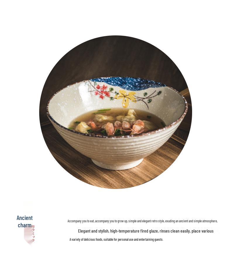 Japanese Ceramic Noodle Bowl - Large Conical Hat Design for Ramen and Soup (2025)