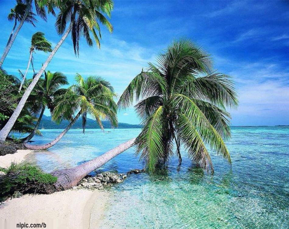 5D DIY Full Drill Landskap Diamantmålningskit och Verktyg