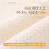 Plush Sofa Cover Pad Non-Slip Sofa Seat Cushion  New Four-Season Universal Light Luxury High-End Feeling Cover Cloth Towel Cover
