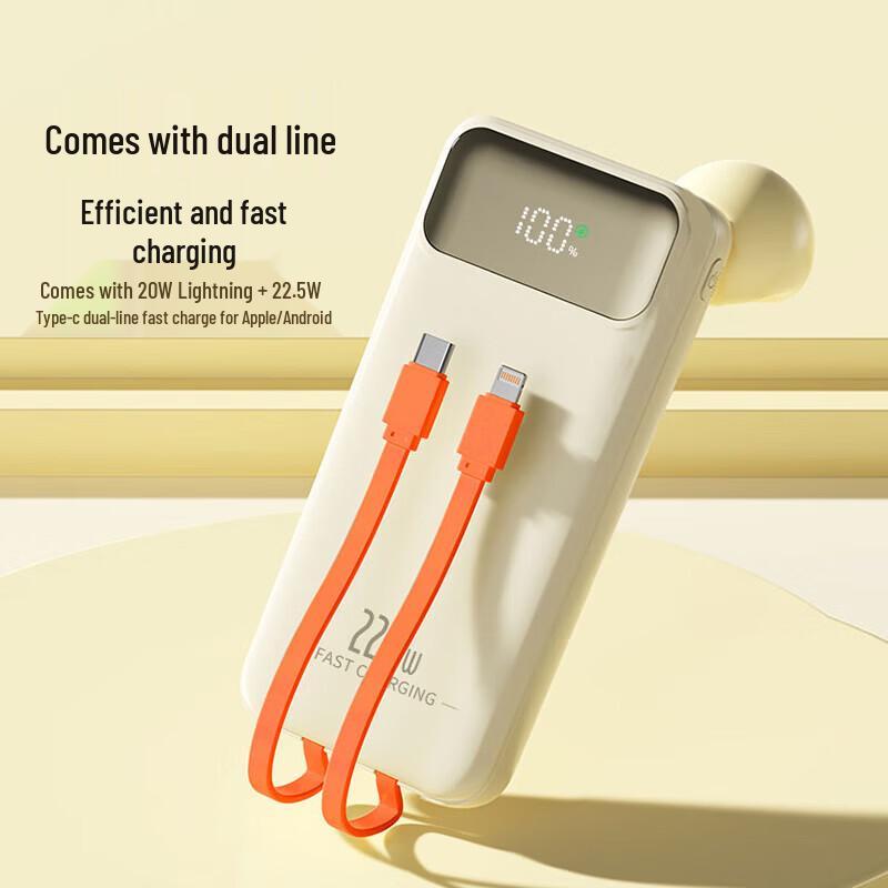 Shixun 20000mAh Power Bank