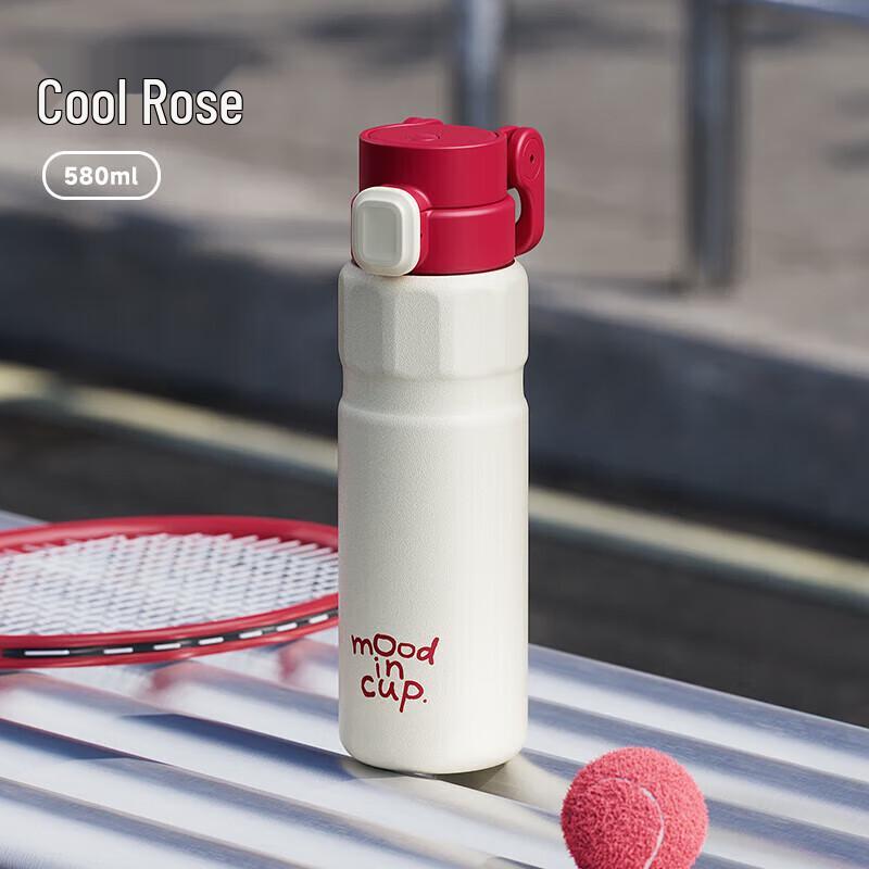 Wushengwu 580ml Stainless Steel Insulated Tumbler