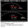 Daiwa C Wake R111FSSR CAK Boraco Sea Bass Lure