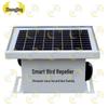 Zhongjing 4-in-1 Solar Bird Repeller