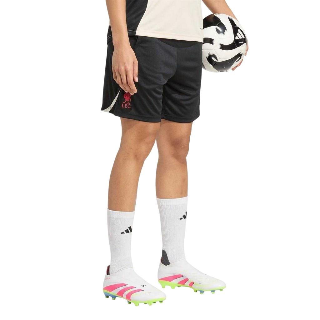 adidas Womens/Ladies 2025/2026 Liverpool FC Training Shorts