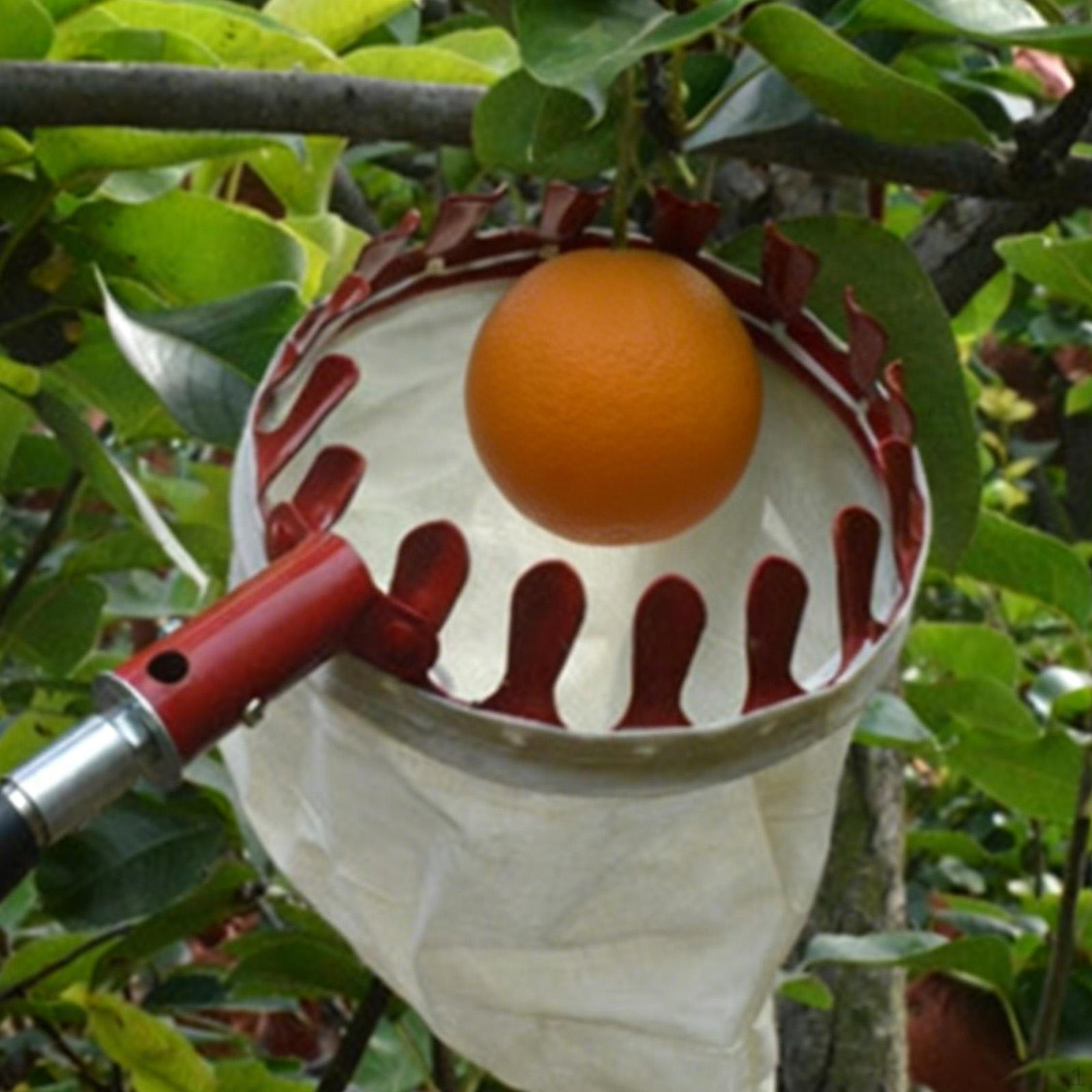 

Fruit Picker Head, Basket, Picking Bag, Harvester червоний