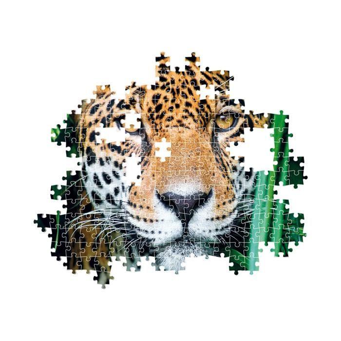Puzzle 500 Pieces + Poster : Jaguar In the Jungle