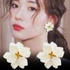Pendientes Geométricos de Pétalos de Flores Coreanos Pendientes de Corazón para Niña Exagerados y a la Moda con Pendientes Dulces y de Alta Gama