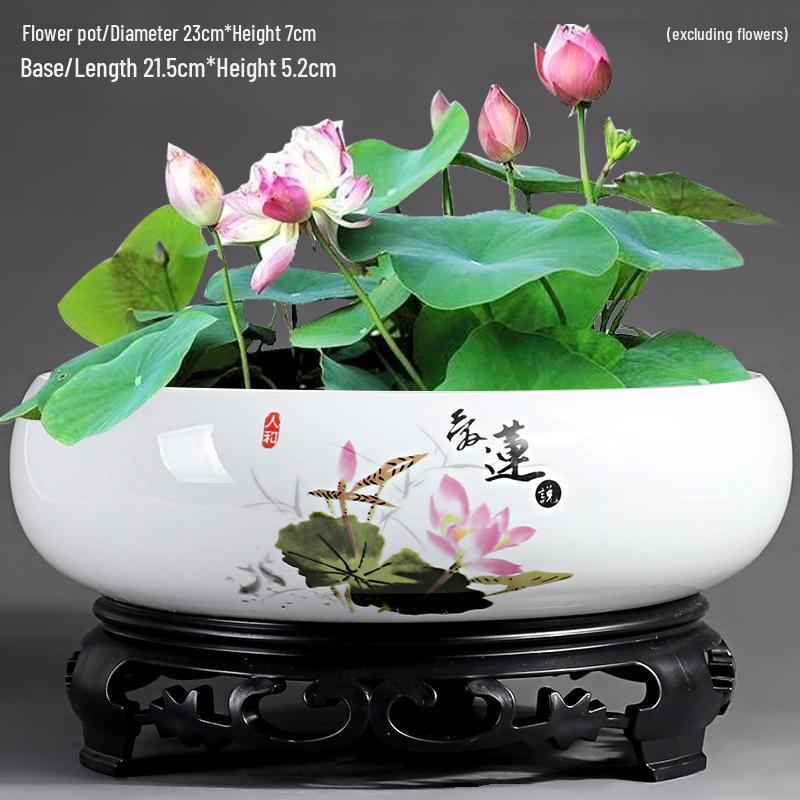 Большой керамический горшок для гидропонных цветов без дренажа  Лотос / Кувшинка  Other - Ceramic