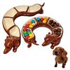 Vintage Five Piece Sausage Dog Plate Set With Divider Sausage Dog Tray For Home Kitchen Storage Organizer Tray Kitchen Dishes