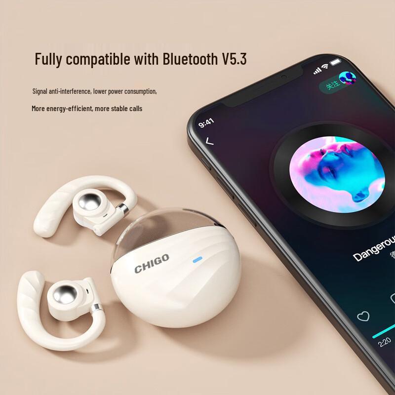 

Zhiga Wireless Sports Earphones