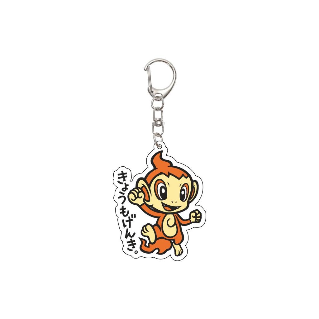 Anime Figure Pokemon Mr.Mime Squirtle Lapras Raichu Flareon Jolteon Chimchar Magikarp Acrylic Keychain Car Bag Pendant