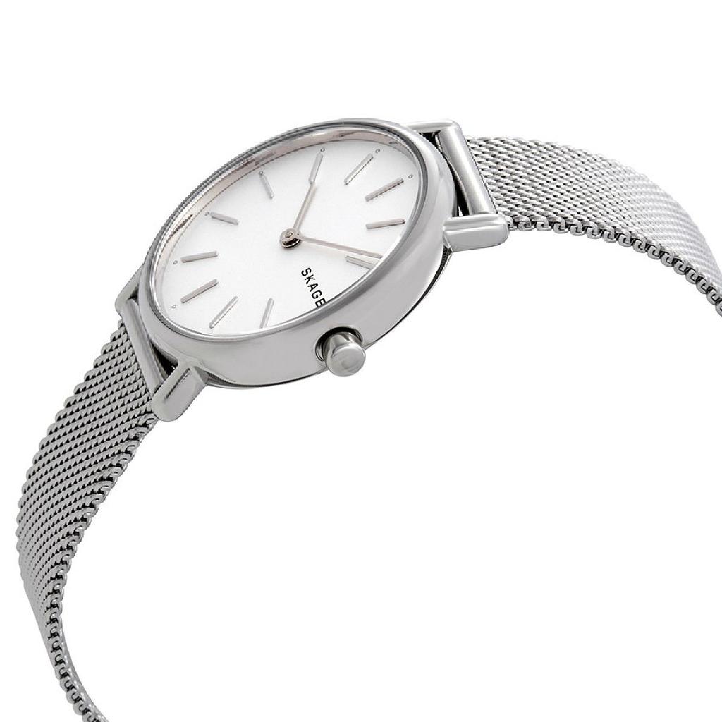 SKAGEN SKW2692 [Parallel Import]