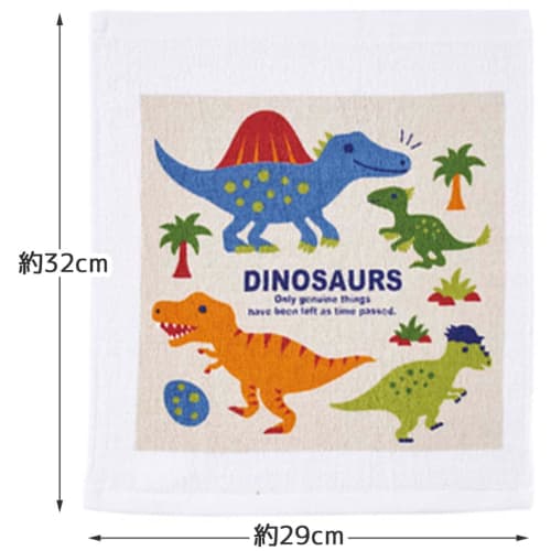 Skater Towel Towel Set of 3 Dinosaur Picture Book OAC1T-A