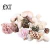 100g Gemischte Muscheln Muschelhandwerk Muscheln Zuhause Aquarium Nautische Dekoration