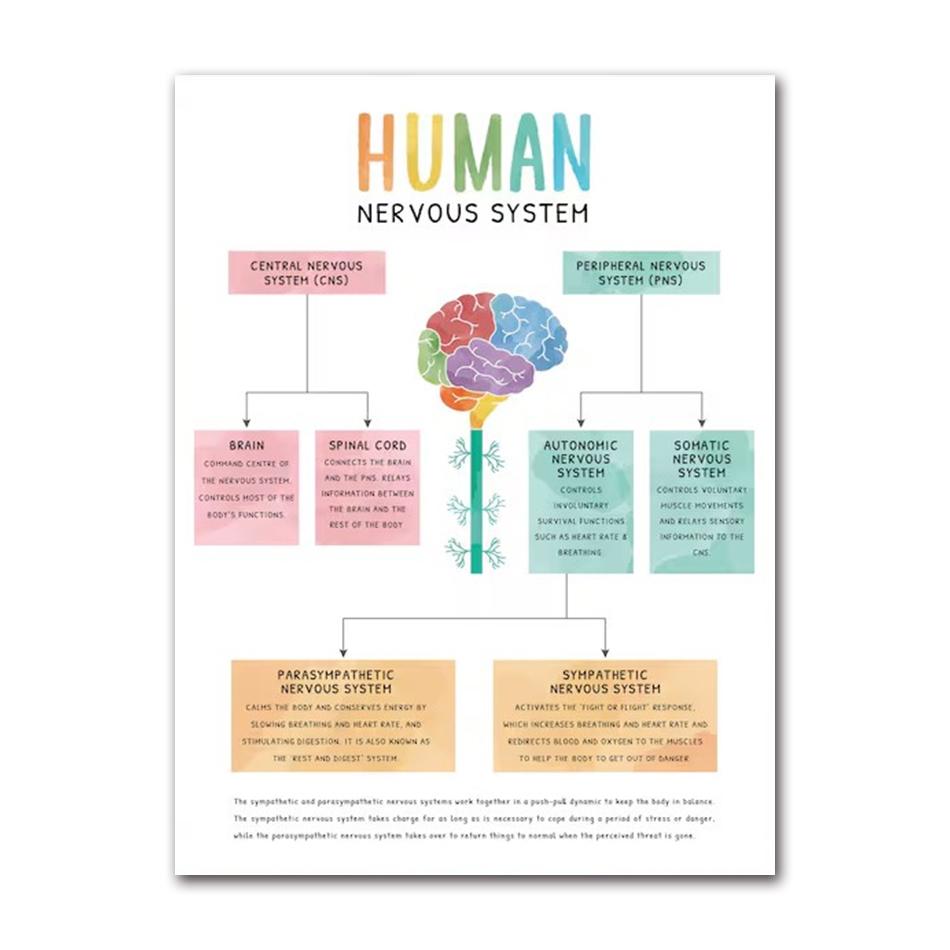 Therapy Mental Health Growth Mindset Feeling Chart Psychologist Poster Canvas Painting Nordic Wall Art Pictures Home Decor