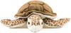 Calorata Loggerhead Sea Turtle Plush Toy Realistic Turtle Sea Creature Animal Toy Doll Gift Present Birthday Christmas Present (Small/Soft Touch)