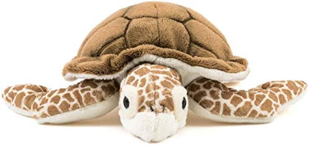 Calorata Loggerhead Sea Turtle Plush Toy Realistic Turtle Sea Creature Animal Toy Doll Gift Present Birthday Christmas Present (Small/Soft Touch)