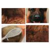 3D Cute Bend Dog Printed Throw Pillow Lifelike Animal Funny Dog Head Cosplay Children Favorite Toy Cushion For Home