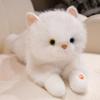 The Simulation Will Be Called Ragdoll Cat Doll Plush Toy Kitten Doll Girl Ragdoll Birthday Gift