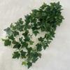 Green Plant Wall Hanging With 9fork Green Ivy For Wedding Decor And Photography Props