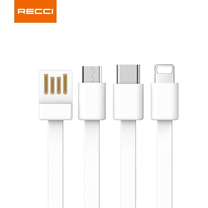 Ruisi RP01 Portable Power Bank