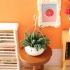 Miniature Clay Potted Plant Model for 1/12 Doll House Decoration Office Desk Scene Setting Living Room Landscape Props