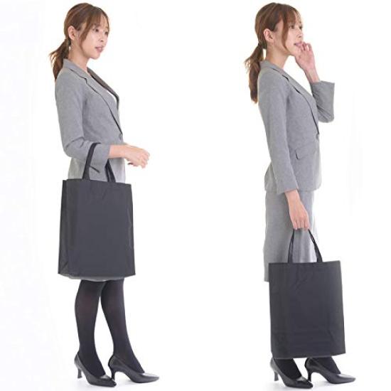 Aurora Nylon Sub Bag, Large, Made In Japan, Fits A4 Files, Gusseted, Foldable