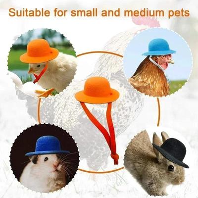 Tavuklar için Şapka Minik Evcil Hayvanlar Tavuk Evcil Hayvanlar Kafa Dekoru Horoz Ördek Papağan Hamster Kümes Hayvanları için Tavuk Tavuk Silindir Şapka