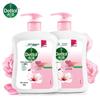 Moisturizing Antibacterial Hand Wash (2 X 450g)