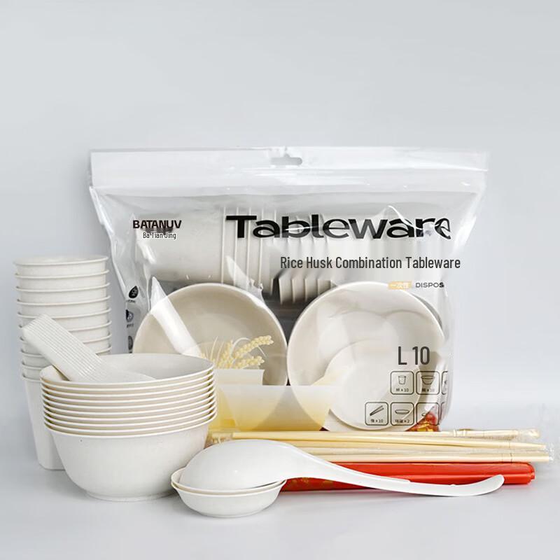 BATANUV Disposable Tableware Set for 10