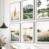 Lago di montagna innevato primaverile Canna Tarassaco Pittura su Tela Decorazione Murale Poster e Stampe Nordiche Immagini Murali per Decorazione Soggiorno