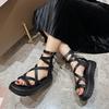 Fairy Wind Sandals Female Summer 2025 New French Niche Thick-soled Heightened Cross-strap High-top Roman Shoes