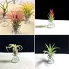 6 Pcs Blume Topf Edelstahl Air Plant Stand Container Tillandsia Halter