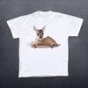Summer Aesthetic Harajuku Graphic baby Tees Emo Girls Vintage Women crop Tops Punk Gothic Y2K Printing T-shirts 90s Retro Female