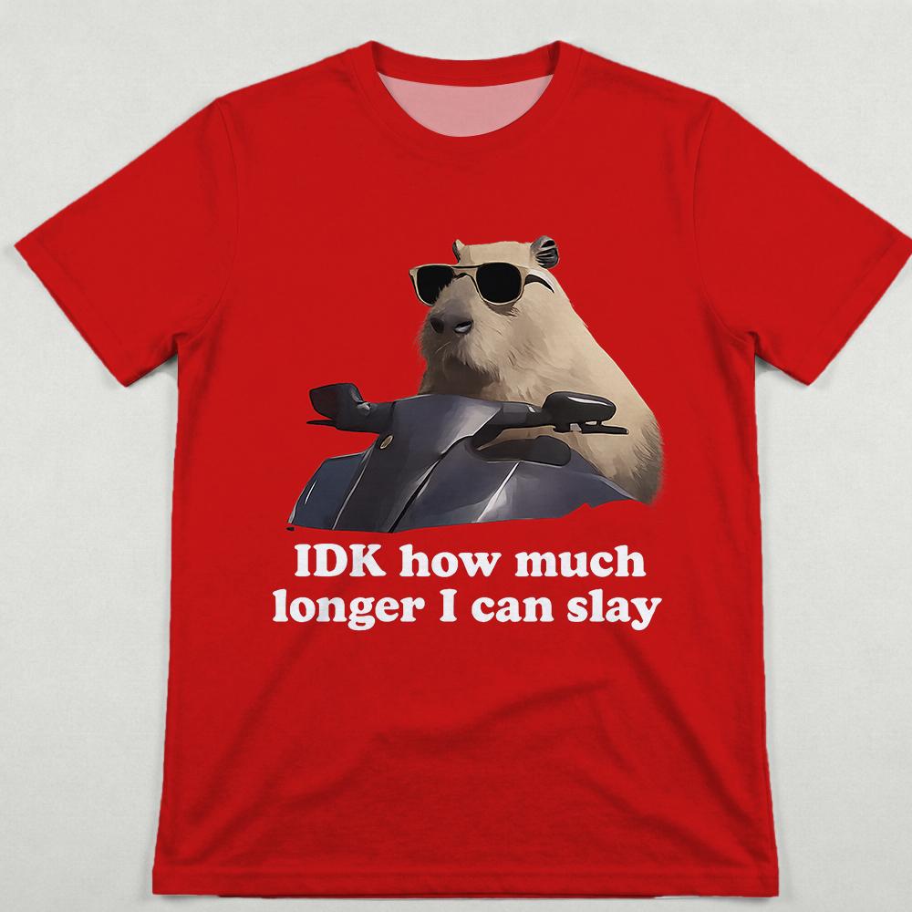 Funny Capybara Meme TShirt IDK How Much Longer I Can Slay Men Women Y2K Streetwear Summer Casual ShortSleeve Wide TShirt