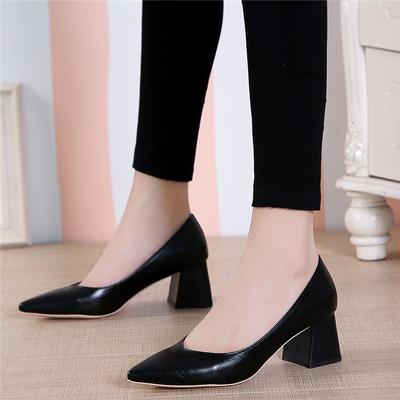 Women's Shoes 20 New Autumn Pointed Toe Foot Shoes Women's Thick Heel Shallow Mouth Sexy High Heels Professional Shoes