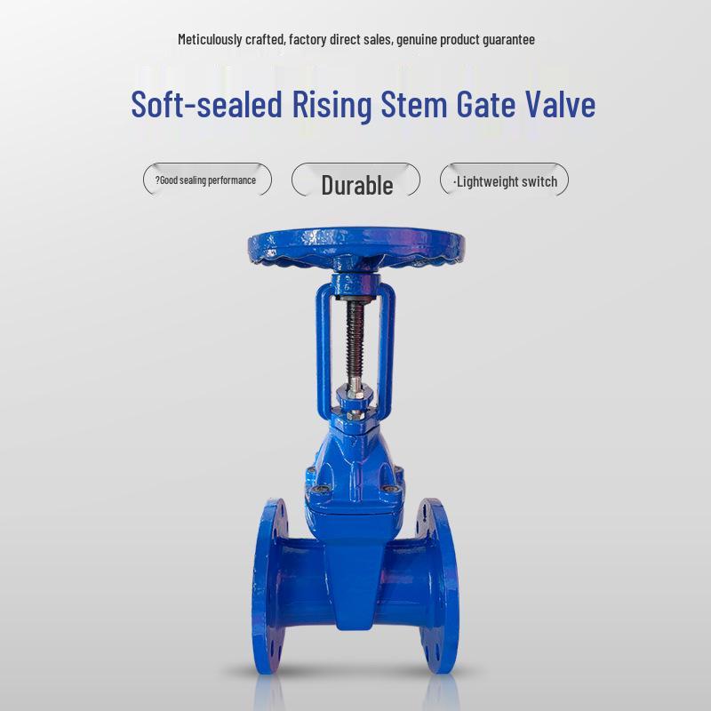 Z41X-16 DN100 Manual Rising Stem Elastic Seat Flanged Gate Valve for Tap Water