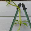 10Pcs Adjustable Plastic Trellis Connector Clip B-Type Garden Support Clip for Tomato Cucumber Pepper Grape Eggplant Greenhouse