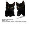 Adesivos de Janela de Animais Raposa Gato Guaxinim Desenho Animado Adesivos Estáticos Removíveis para Quarto de Crianças Sala de Estar Portas de Vidro Janelas
