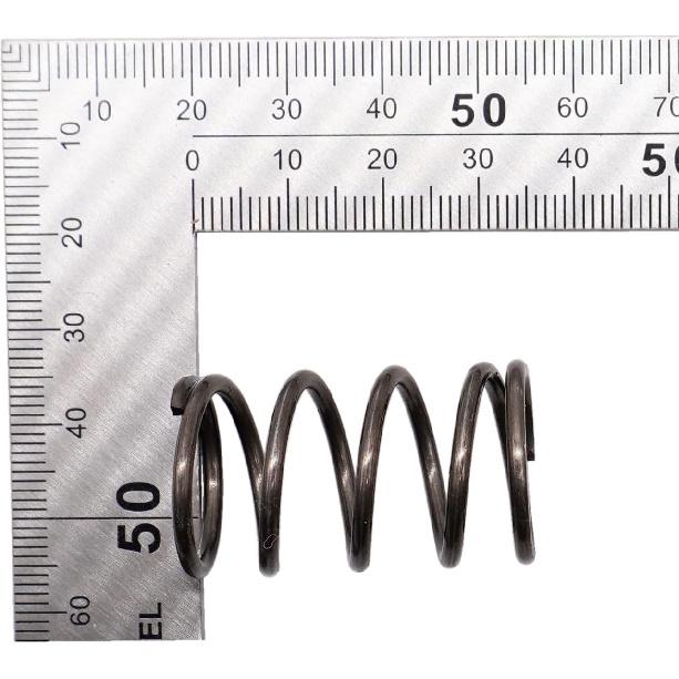 22LBS Valves Springs for Honda GX120/GX200/Clone/Predator 2 PCS