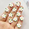 50Pcs Cute Cartoon Mini Colored Flower Nail Art Resin Designer Charms DIY Craft For Nail 3D Decorations Jewelry