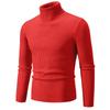 Herren Pullover Herbst/Winter 2024 Hoher Kragen Unifarben Lässig Gestrickt