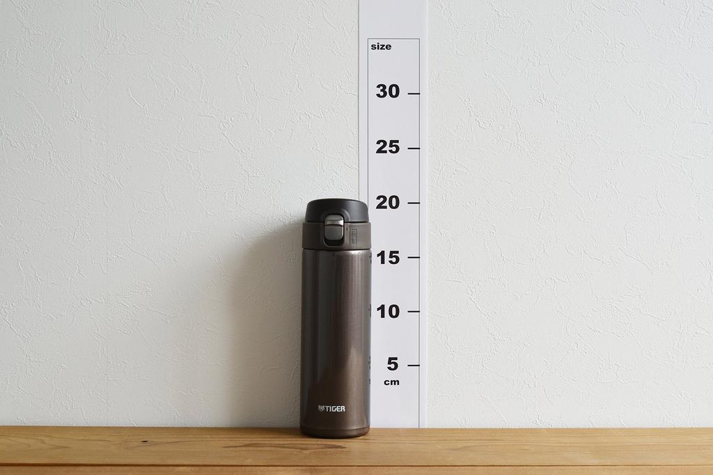 Tiger Sahara Mug, 480ml Stainless Steel Mini Water Bottle, Direct Drinking, Brown, Model MMJ-A048-TV