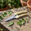 Straight Garden Pruning Shears for Tree Branches Flowers and Shrubs