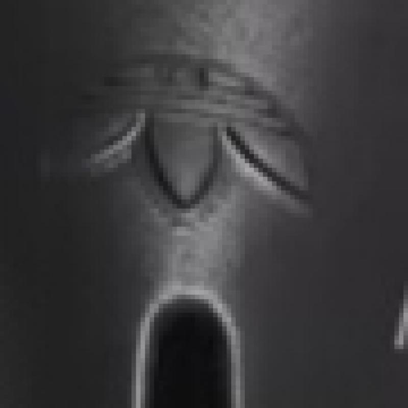 Adidas Adiform Supernova   Černá  If3915