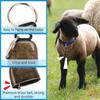 8 Pack Goat Collar with Bell, Adjustable Sheep Collars Set with Quick Release Buckle Durable Nylon Anti-Lost Grazing Pet Collar with Copper Bell for
