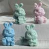 Bunny Series Fondant Epoxy Molds Manual Candle Aromath Soap Molds for Decor