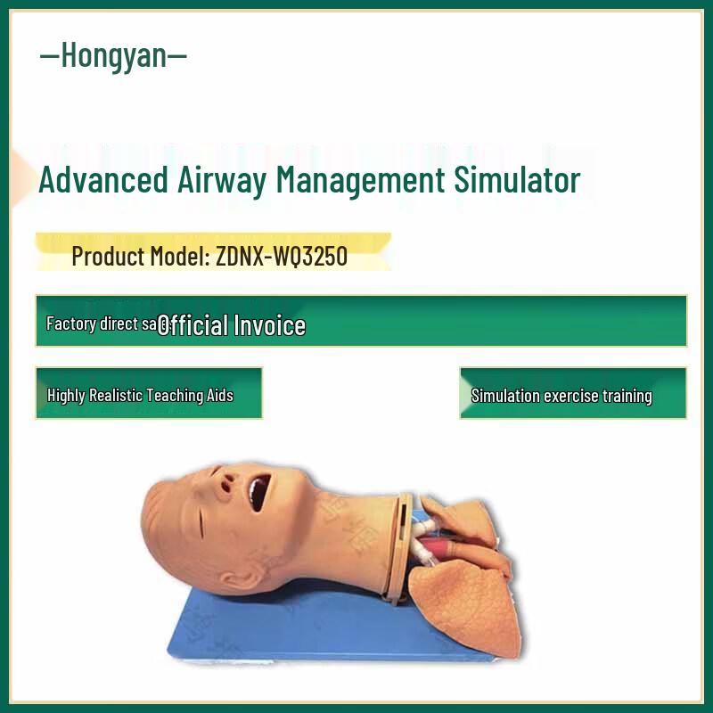 Advanced Airway Management & Intubation Training Manikin