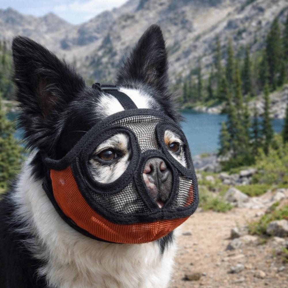 Adjustable Dog Anti-Biting Muzzle Anti-Eating Dog Stop Barking Mask Pet Dog Mask  Outdoor Walking