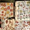 40 pieces Vintage plant PET decorative landscaping sticker Pack Adhesive diy sticker scrapbook material